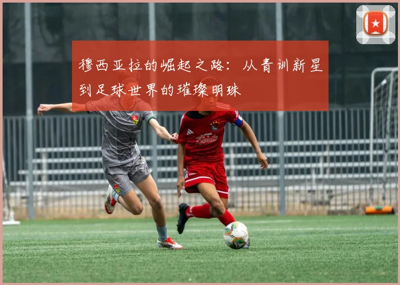 穆西亚拉的崛起之路：从青训新星到足球世界的璀璨明珠