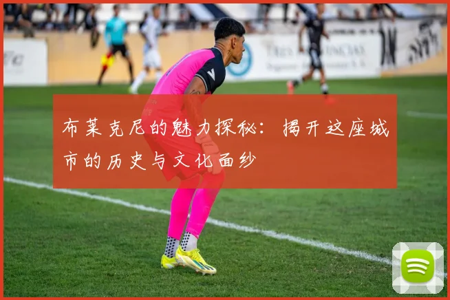 布莱克尼的魅力探秘：揭开这座城市的历史与文化面纱